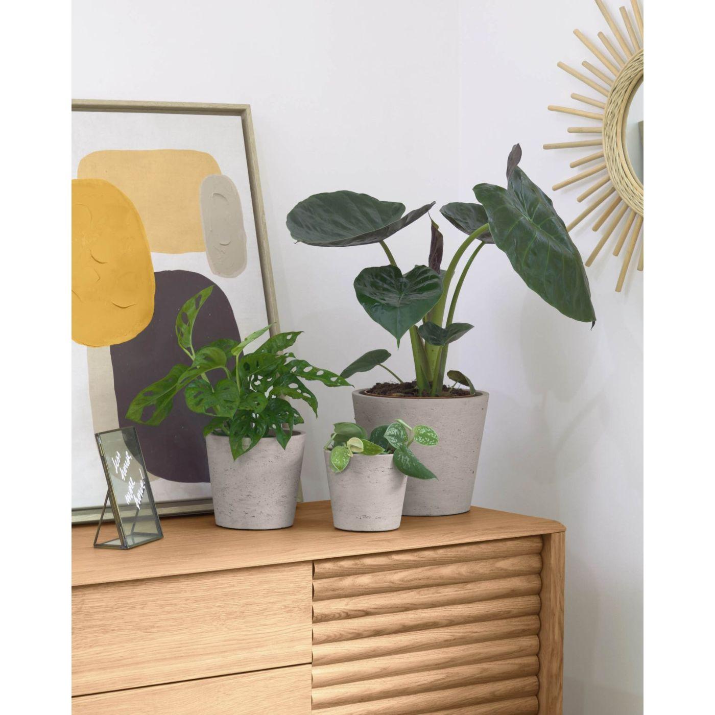 Blumentopf Low Zement grau (3er-Set)